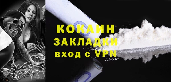 спайс Ельня