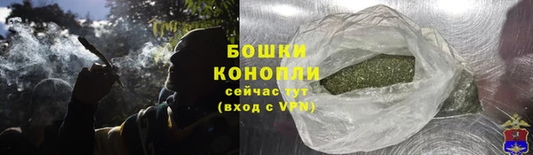 амф Елизово