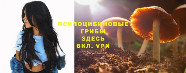эйфоретик Елабуга