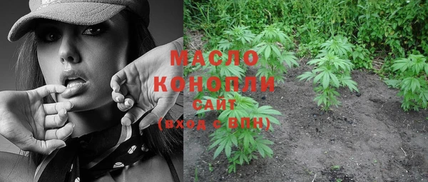 амф Елизово