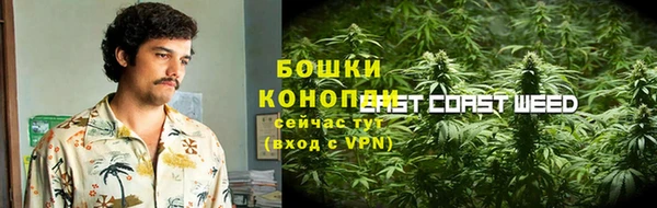 амф Елизово