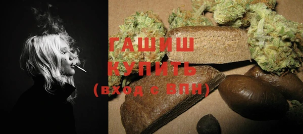 спайс Ельня