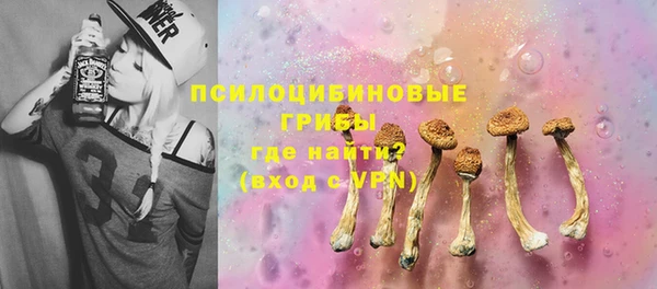 амф Елизово