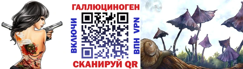 Купить где  Соль-Илецк  Галлюциногенные грибы GOLDEN TEACHER 